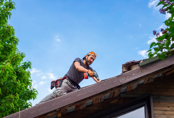 Best Emergency Roof Repair  in Prospect, OH